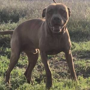 Meet your Posher, Vicki